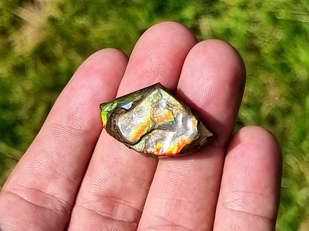 79) Ammolite Crystal Gemstone