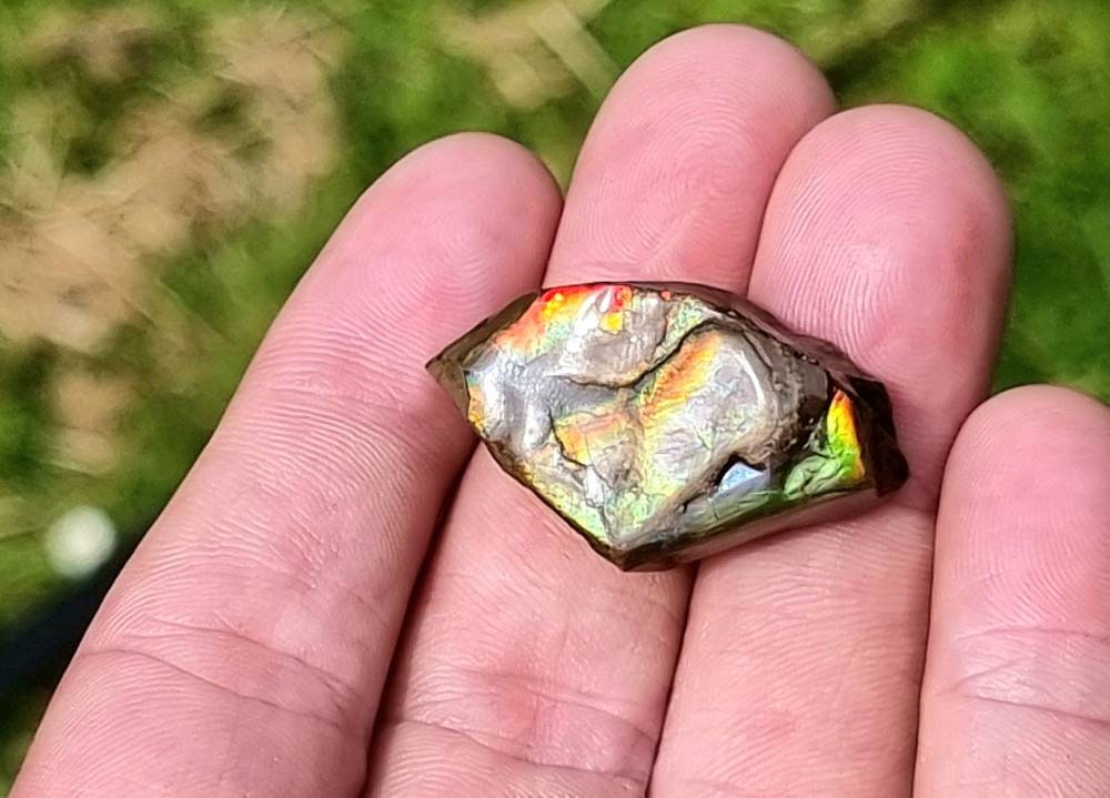 79) Ammolite Crystal Gemstone