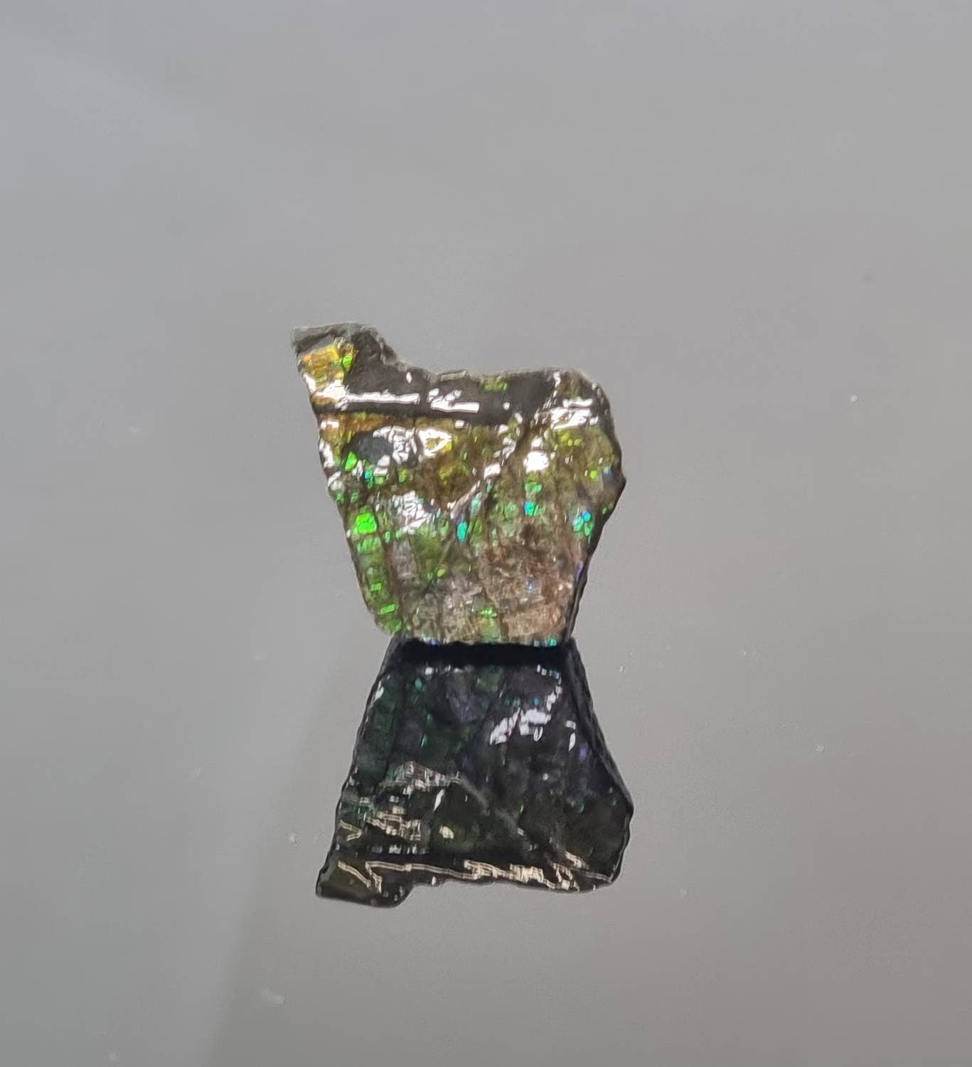 78) Ammolite Crystal Gemstone