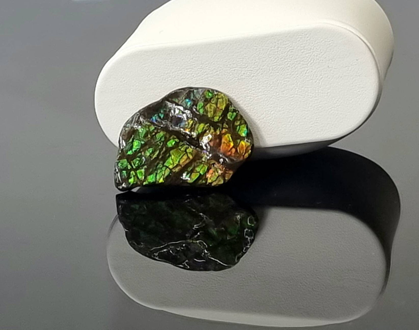  Large Ammolite Crystal Gemstone rare unique