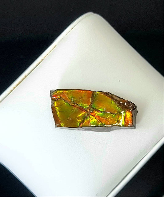 69) Ammolite Crystal Gemstone