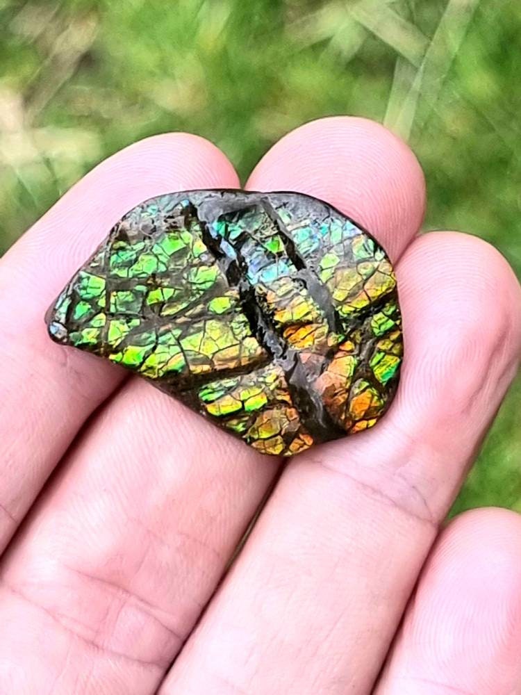 71) Ammolite Crystal Gemstone