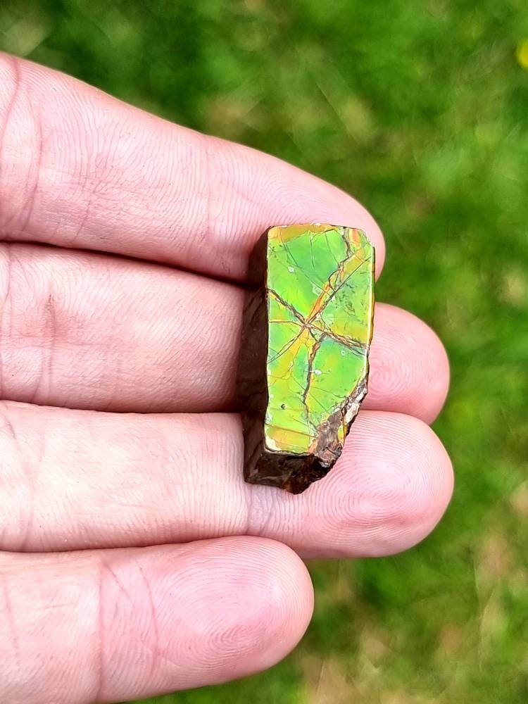 69) Ammolite Crystal Gemstone