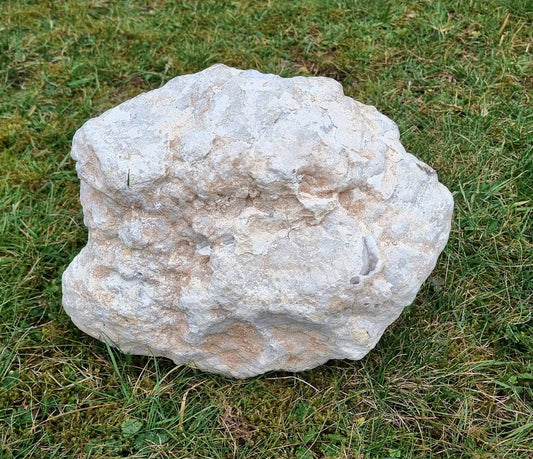 giant large unbroken quartz crystal geode