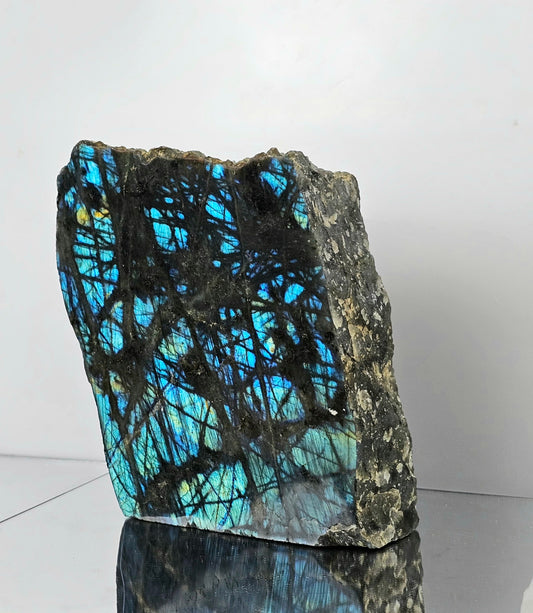 Large electric blue high flash labradorite crystal polished raw standing