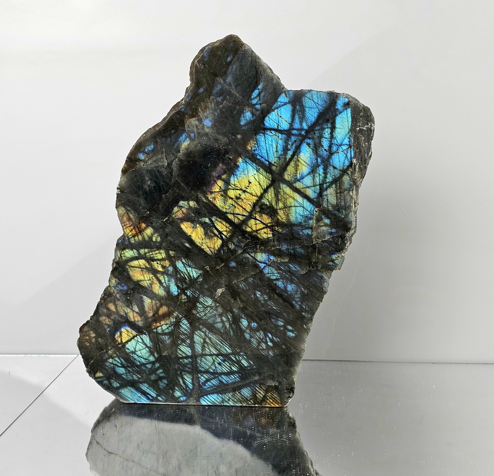 large flashy blue labradorite crystal half raw half polished freestanding