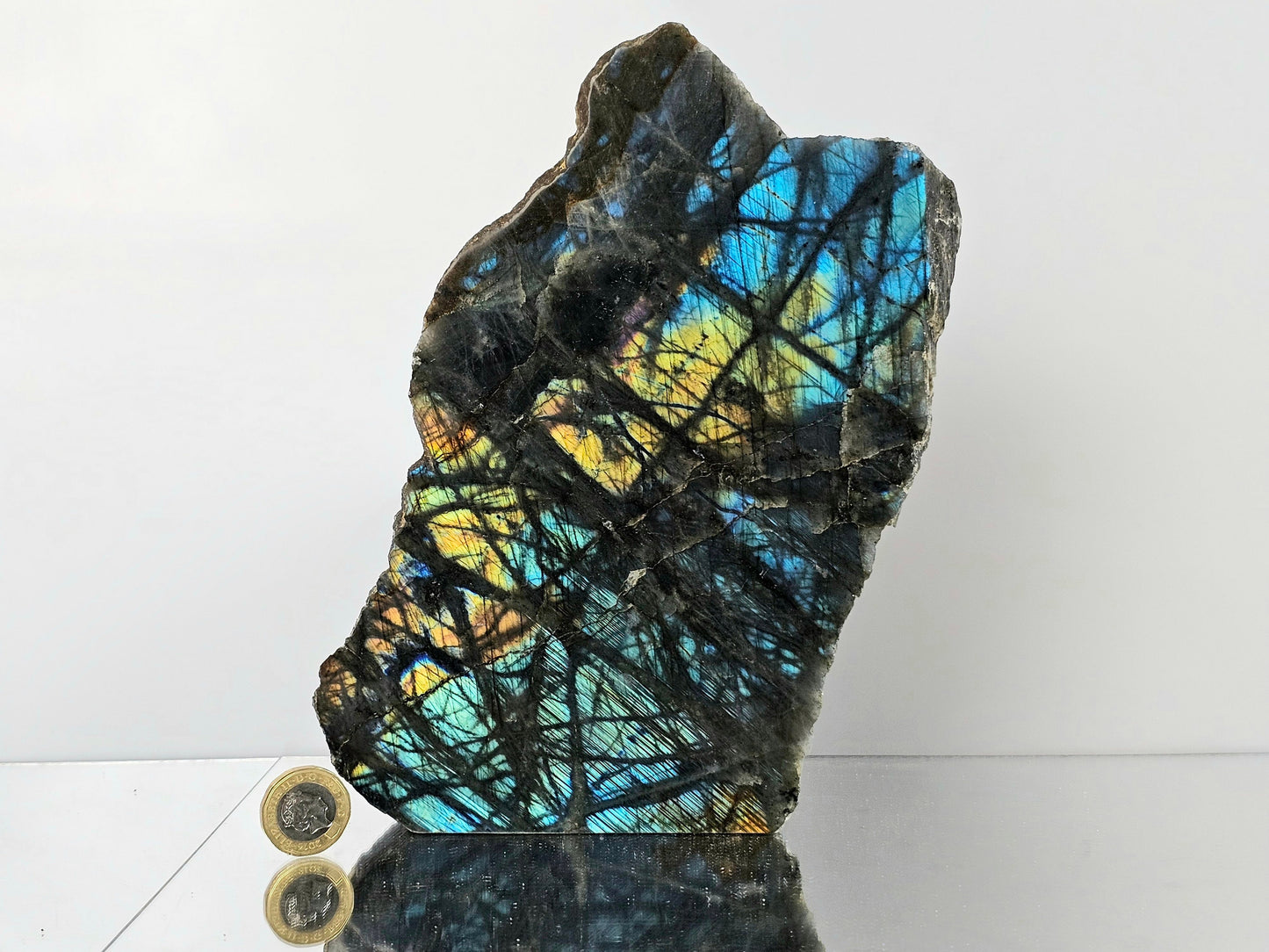 Large Labradorite Crystal  (#35)