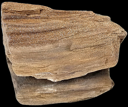 Petrified Wood With Quartz Druzy Outstanding quality covered in Quartz, druzy, would make for fantastic home or office decor a very unique display piece. From Zwenkau, Leipzig , Saxony Germany the site is no longer accessible and the pit has been flooded